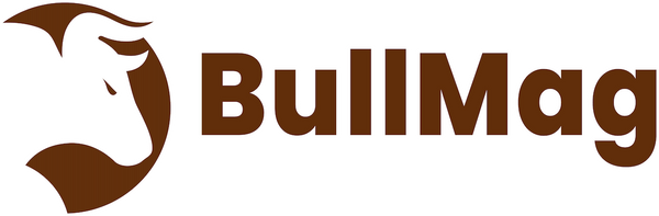 BullMag Inc.